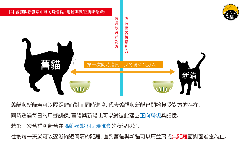 第四階段