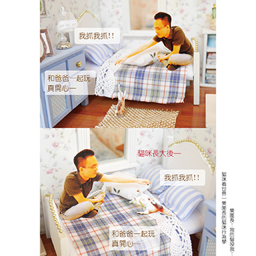 我的貓咬我