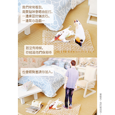 貓咪咬我的腳